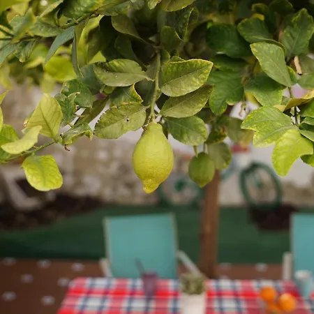 Hébergement de vacances Casa Singular Y Con Encanto *